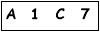 salt-539BB1C1