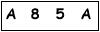 salt-D82BA25D