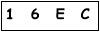 salt-CF5D8199